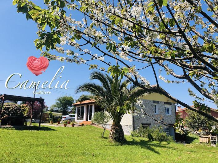 Albuerne Camelia Casina Rural 빌라 외부 사진